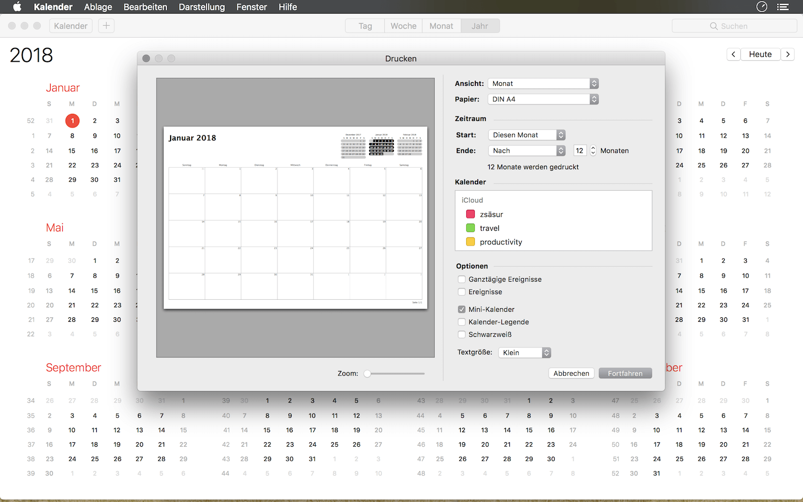 Choose time range Jan to Dec, select „mini calendar“ only and click „continue“
